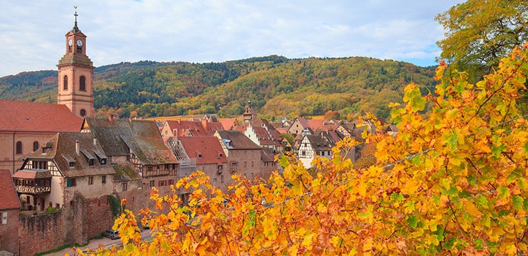 Alsace Gewurztraminer, vin blanc d'Alsace