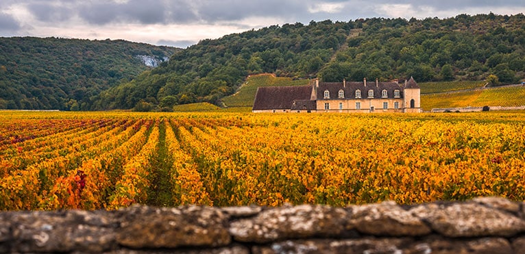 Vin de Bourgogne