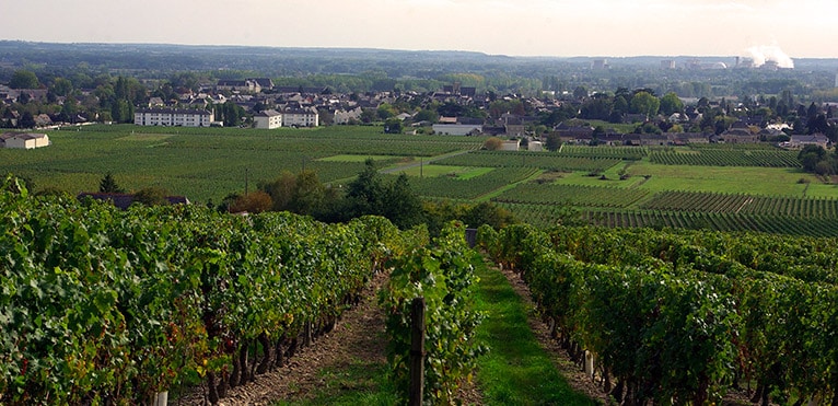 AOC Bourgueil, Vin de Loire