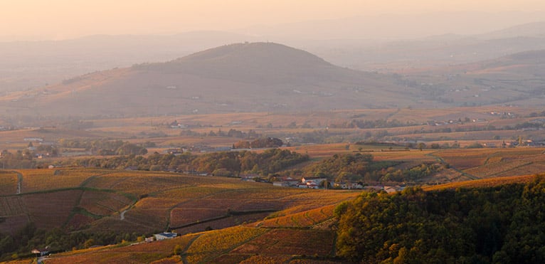 Brouilly, Cru du Beaujolais