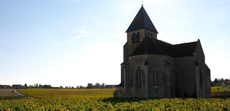 Chablis, Vin blanc de Bourgogne