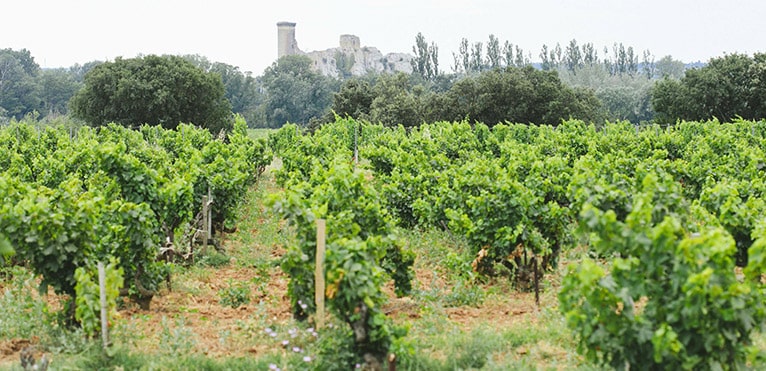 AOC Châteauneuf-du-Pape