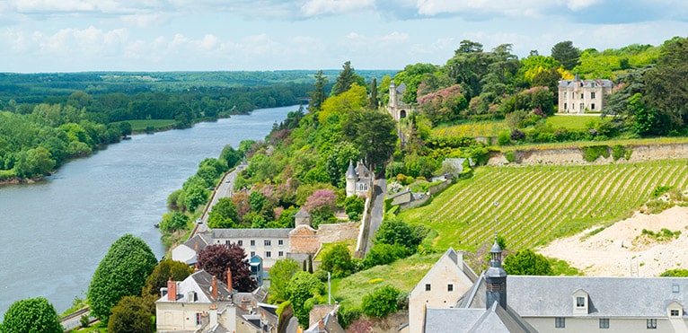 AOC Chinon, Loire wine