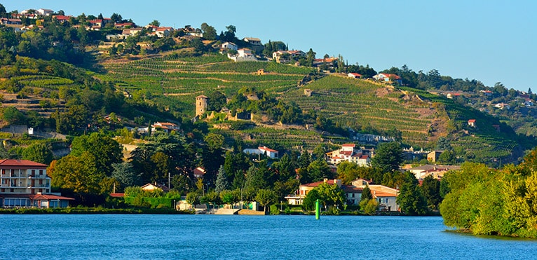 AOC Condrieu, Vin Blanc du Rhône