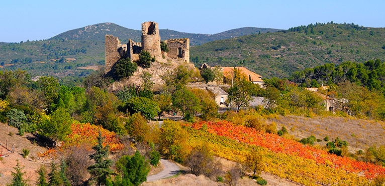Corbières, Vin du Languedoc