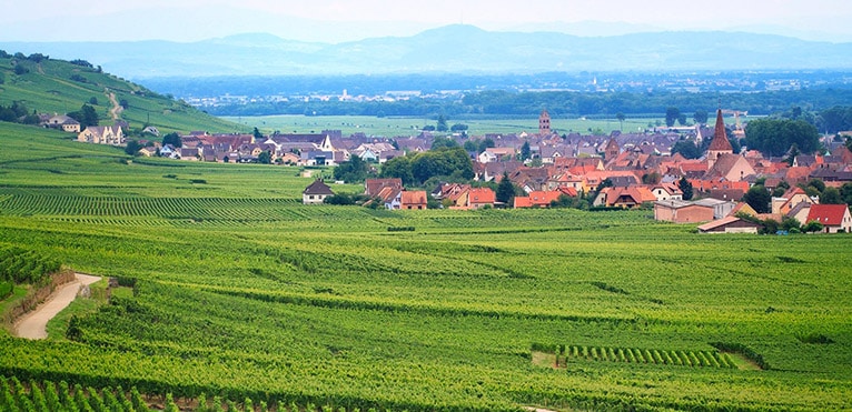 Crémant d'Alsace, sparkling wine from Alsace