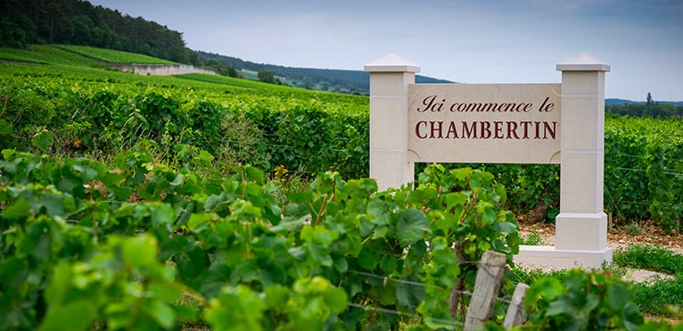 Gevrey-Chambertin, Burgundy wine