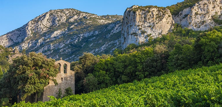 Vin du Languedoc