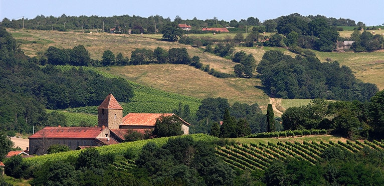 Madiran, Vin rouge du Sud-Ouest