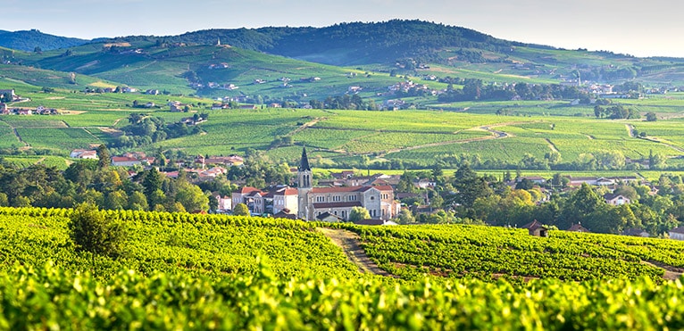 Morgon, Cru du Beaujolais