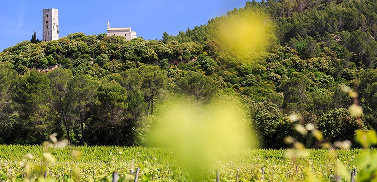 Vin de Provence