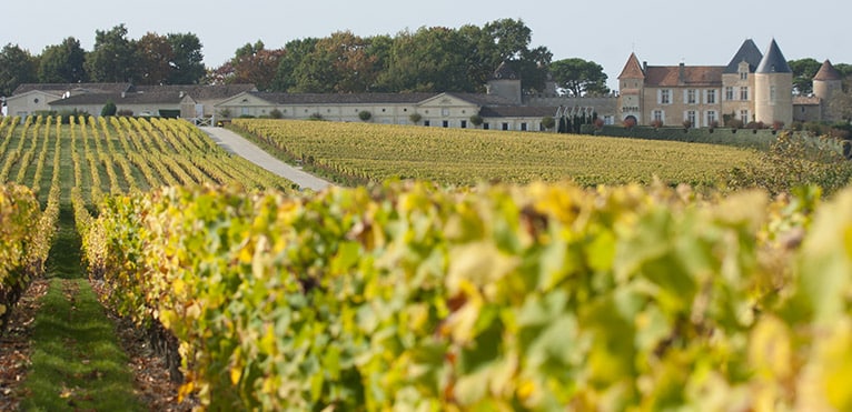 Sauternes, Vin blanc de Bordeaux