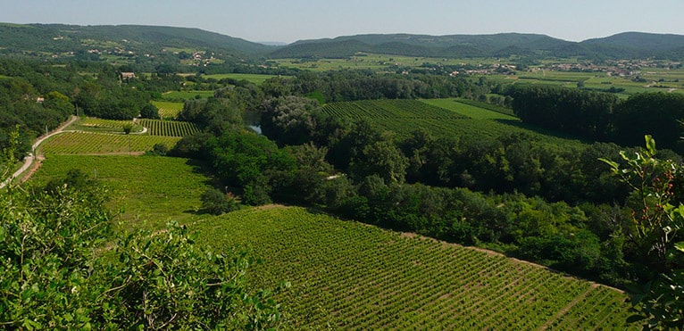 AOC Côtes-du-Rhône