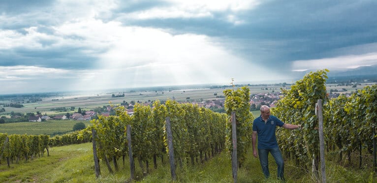 bio-alsace