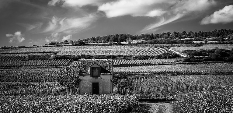 meilleures-annees-bourgogne © Photo _ James Lee sur Unsplash
