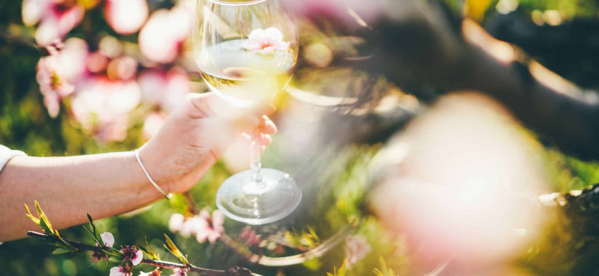 Woman holding a glass with pink spring flower at the blooming ga