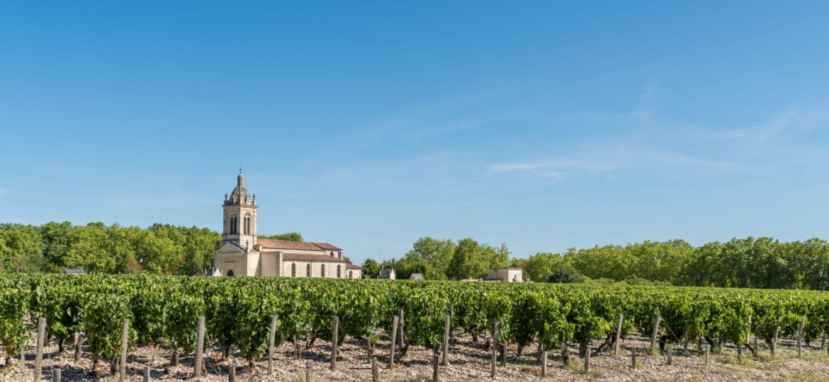 MEDOC (Gironde, France), vignoble de Margaux