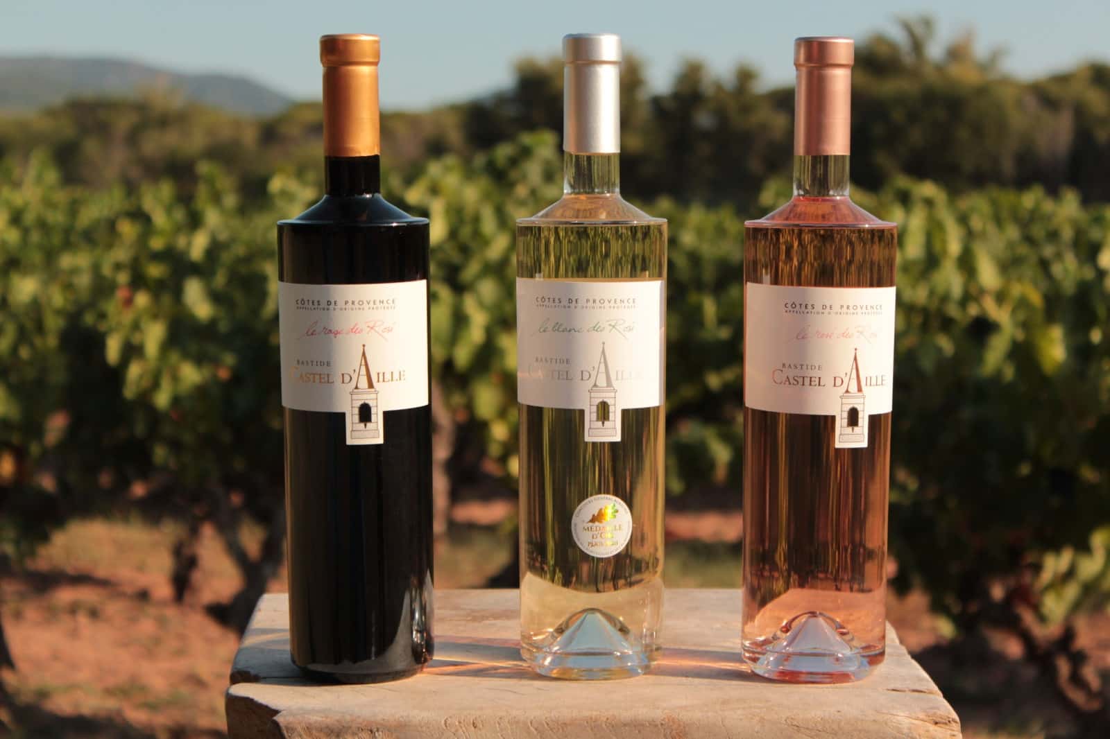 Un domaine à découvrir au cœur de la Provence
